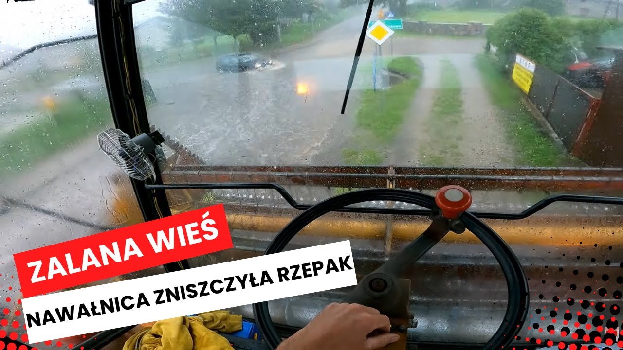 Przyjechał kolega do pomocy na żniwach. Nawałnica zniszczyła mi rzepak
