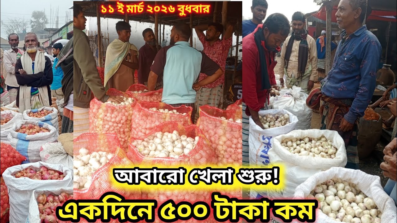 ১১/৩/২০২৬ | বুধবার | পাবনা আতাইকুলা রসুনের পাইকারি হাটে আজকের বাজার আপডেট। Garlic Wholesale Market 