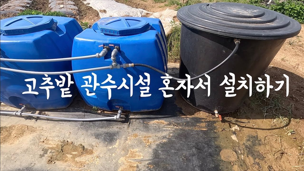 [청년농부] 노지 고추밭 관수시설 만들기