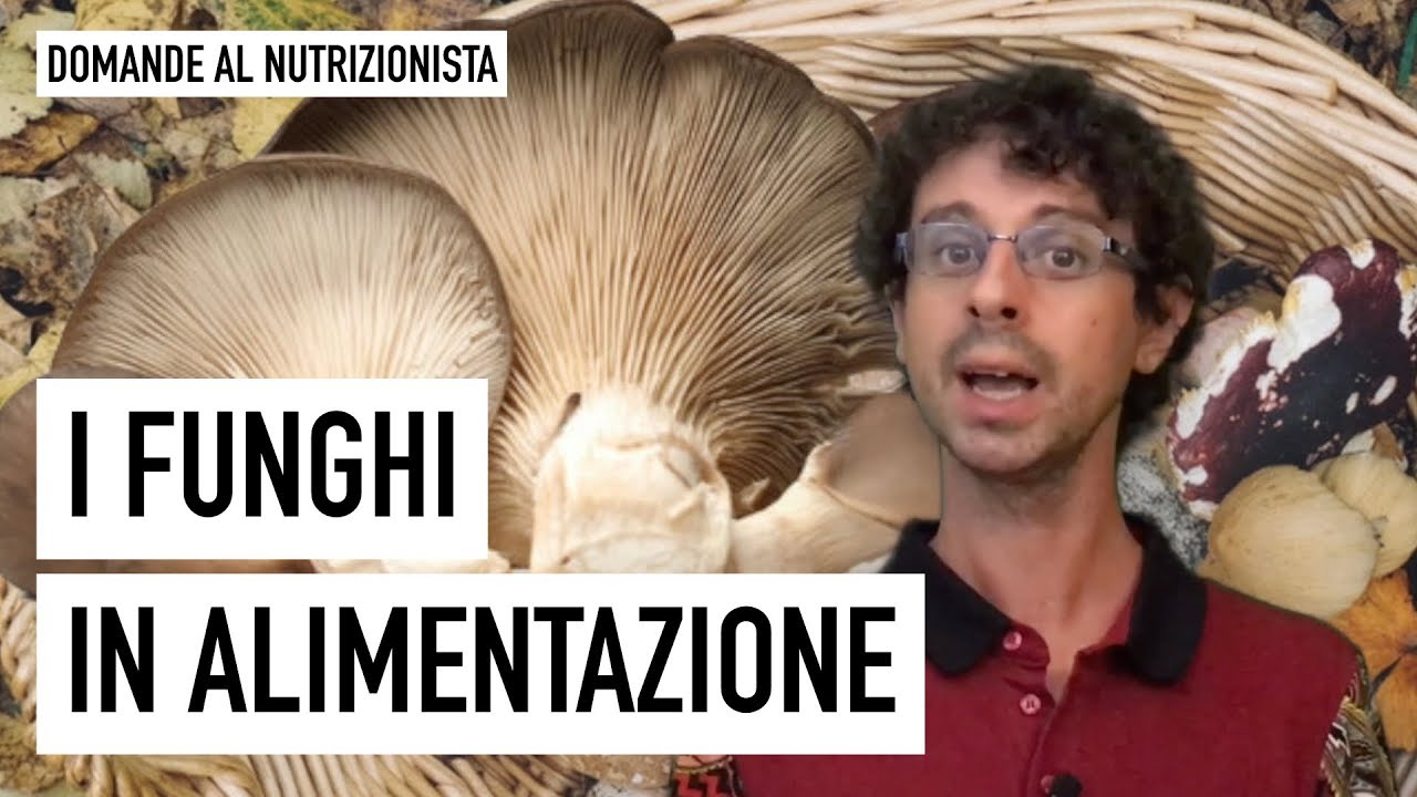 I funghi in alimentazione
