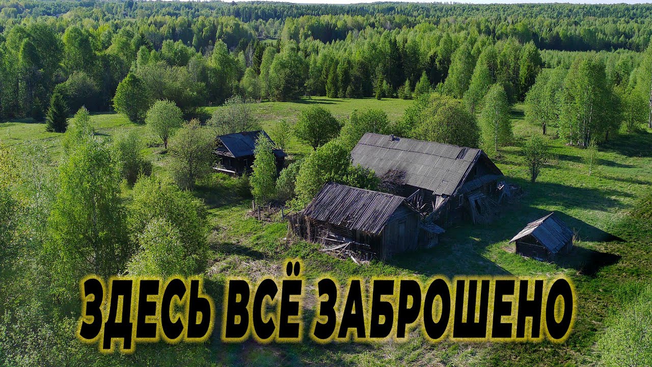 Как здесь жили люди? заброшенные деревни а лесах Костромской области