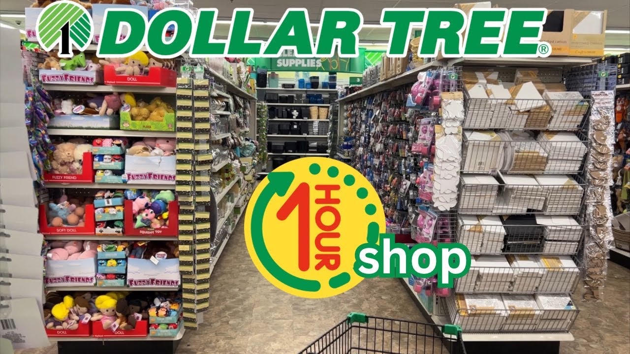 1 HOUR SHOP Dollar Tree finds *compilation