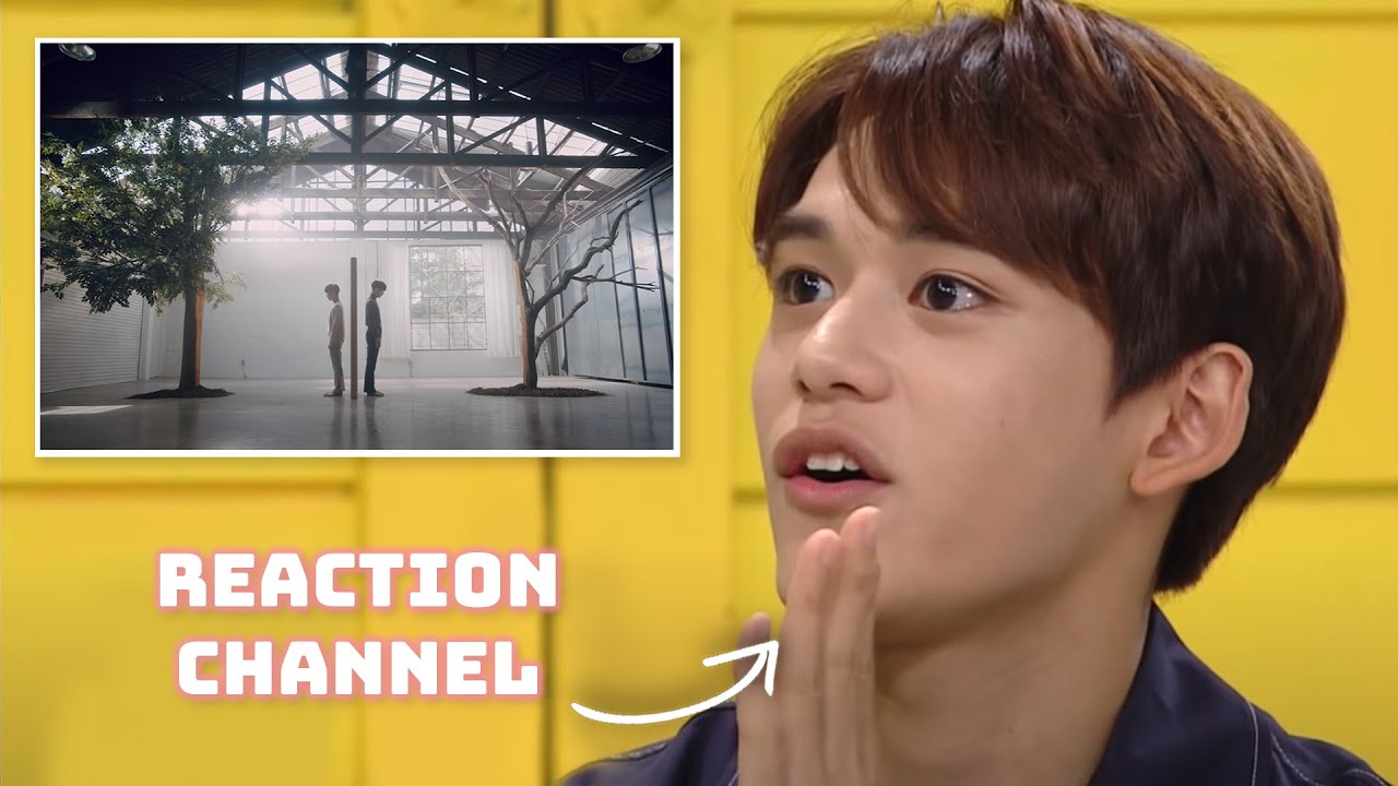 Wayv as types of youtubers