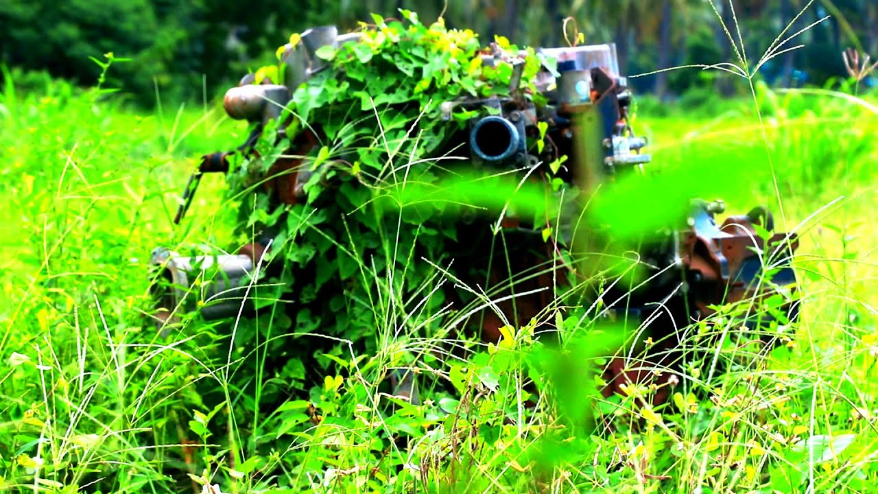 green grass background 4k grass background video effects video effects4k  free stock relaxing music