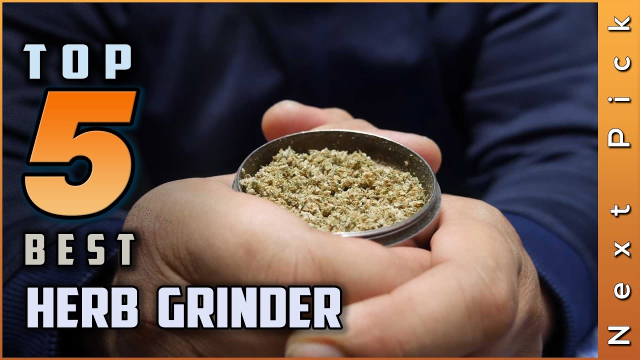 Top 5  Best Herb Grinders Review In 2024 | For Your Home Kitchen
