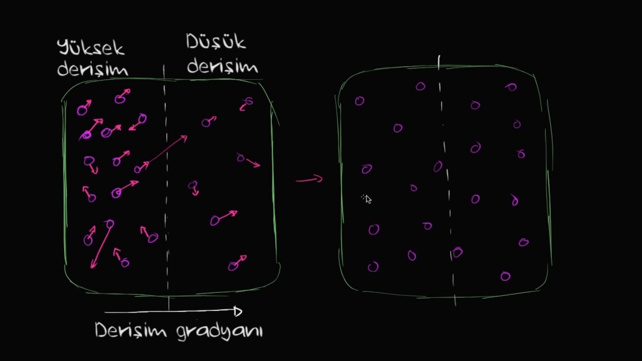 Dif&uuml;zyon (Biyoloji / Zarlar ve Taşınım)