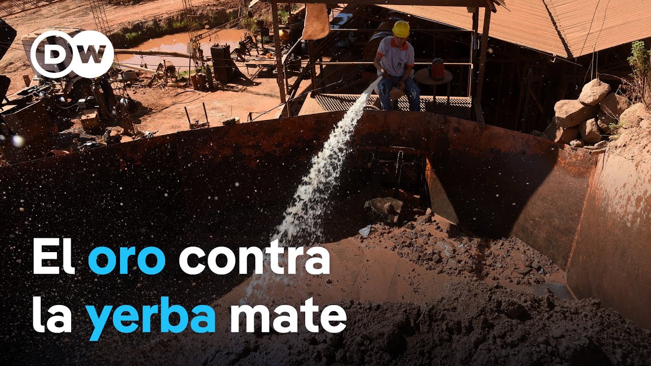Yerbateros se oponen a la fiebre del oro en Paraguay