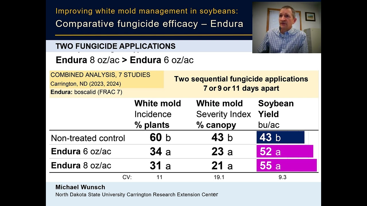 2025 Soybean ENDURA White Mold Fungicide Efficacy VIDEO