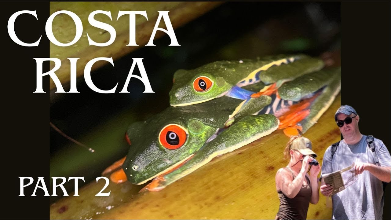 La Fortuna Rafting, Rainforest & Night Hike  | Costa Rica Self-Drive + What to Expect Part 2