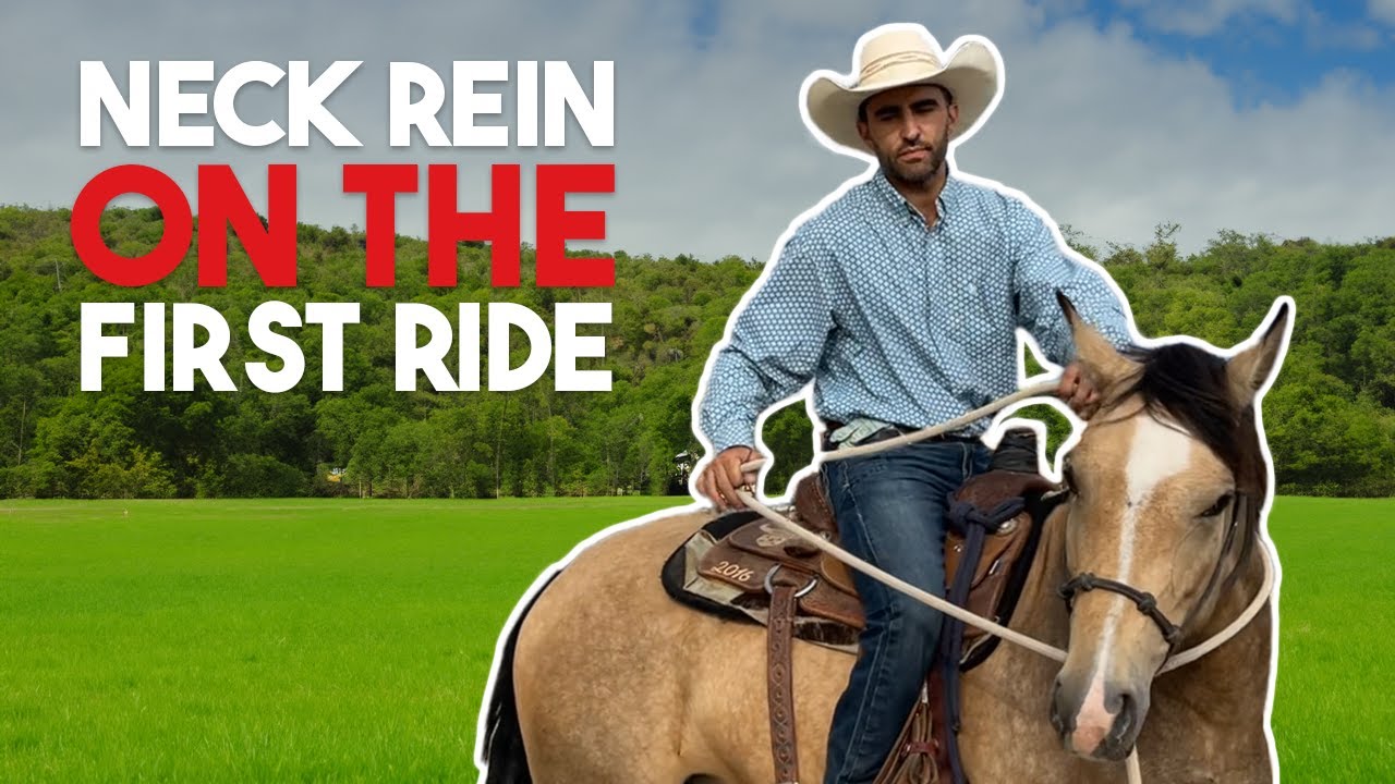 Teaching a Horse to Neck Rein in 10 RIDES or Less &ndash; My Method!