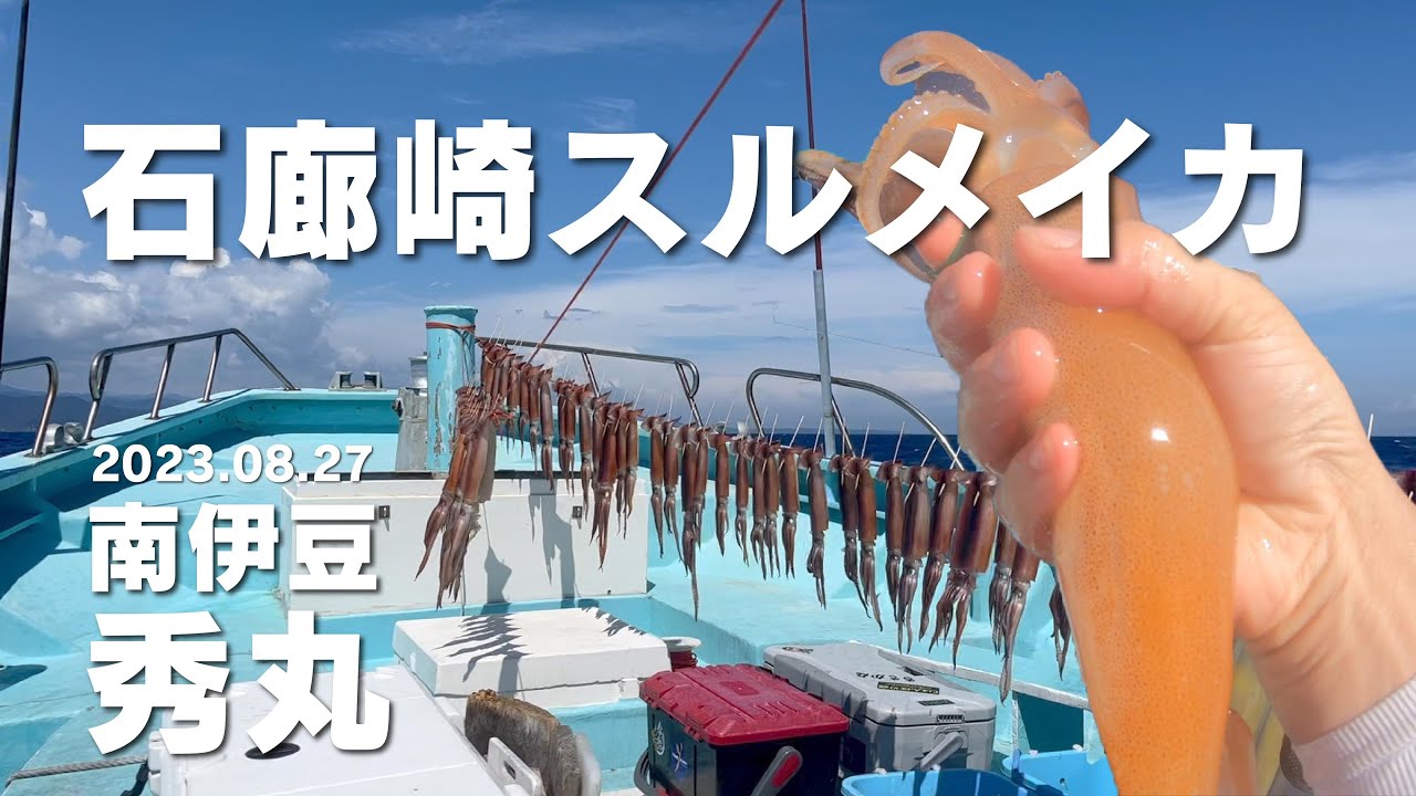 【2023年9月】石廊崎スルメイカ