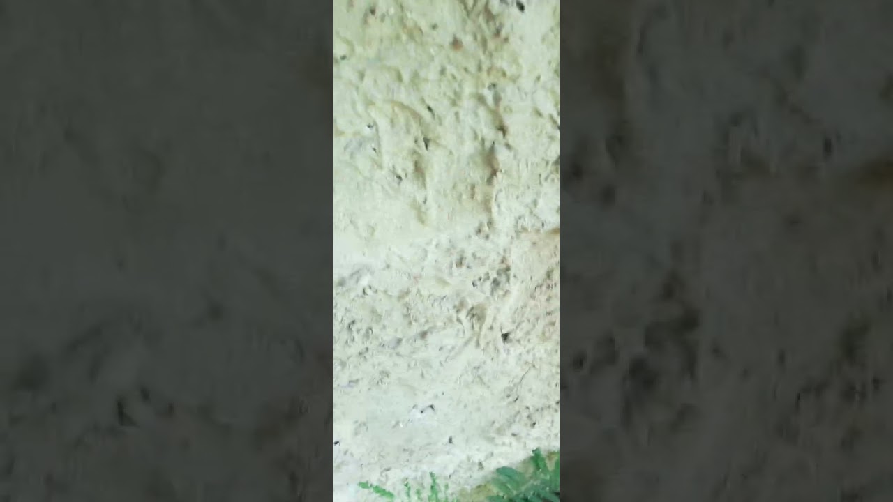 Campo abandonado parte 2