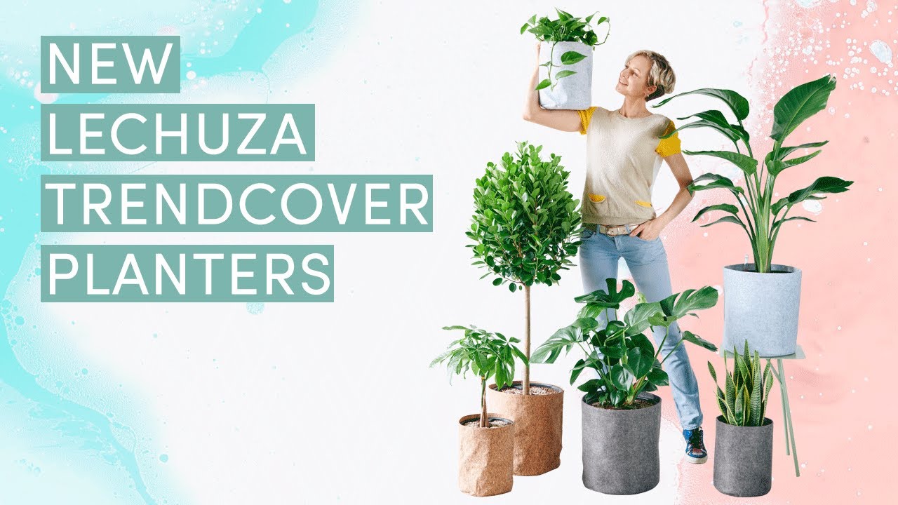 Introducing New Lechuza Trendcover Self-watering Planters
