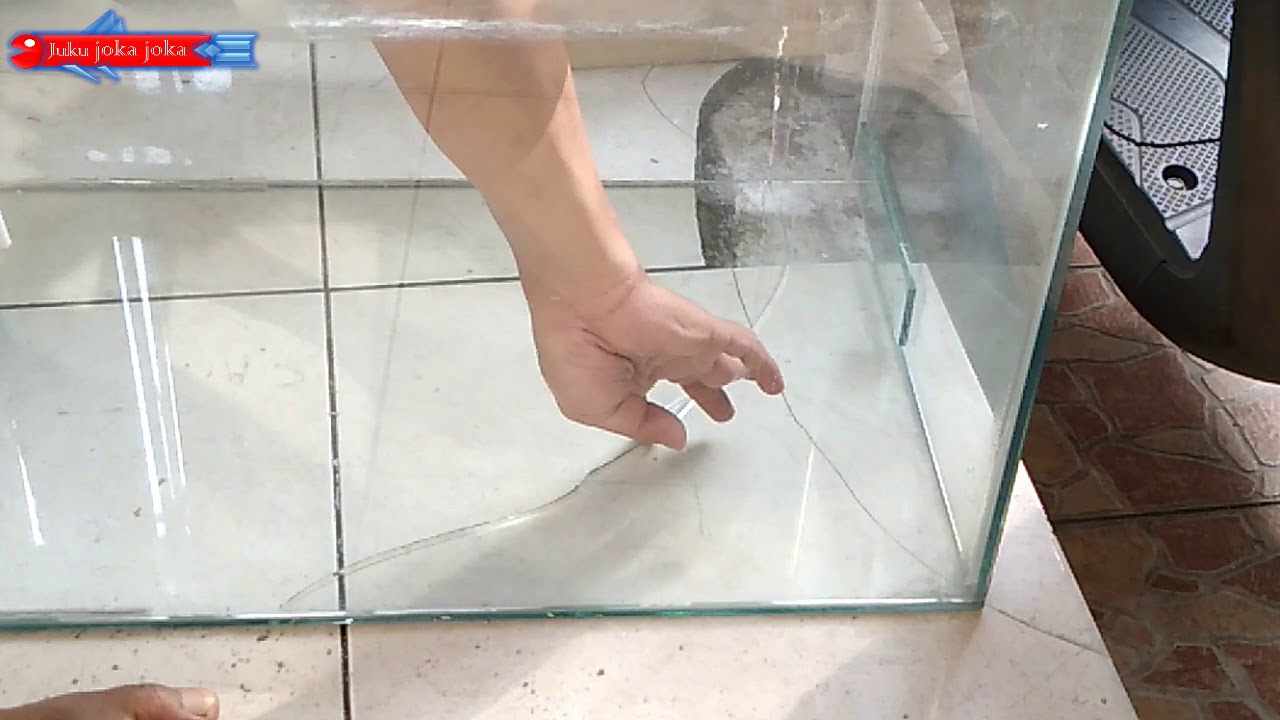 Alas aquarium retak!!! Begini cara menambalnya