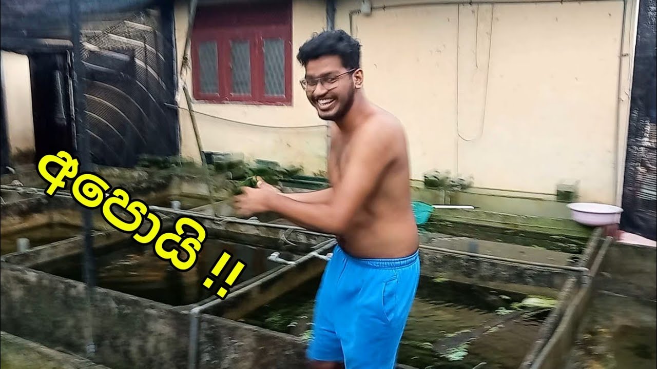 කළ කම් එවලෙම පළදෙනවා දැකලා තියෙනවද 🤣😝