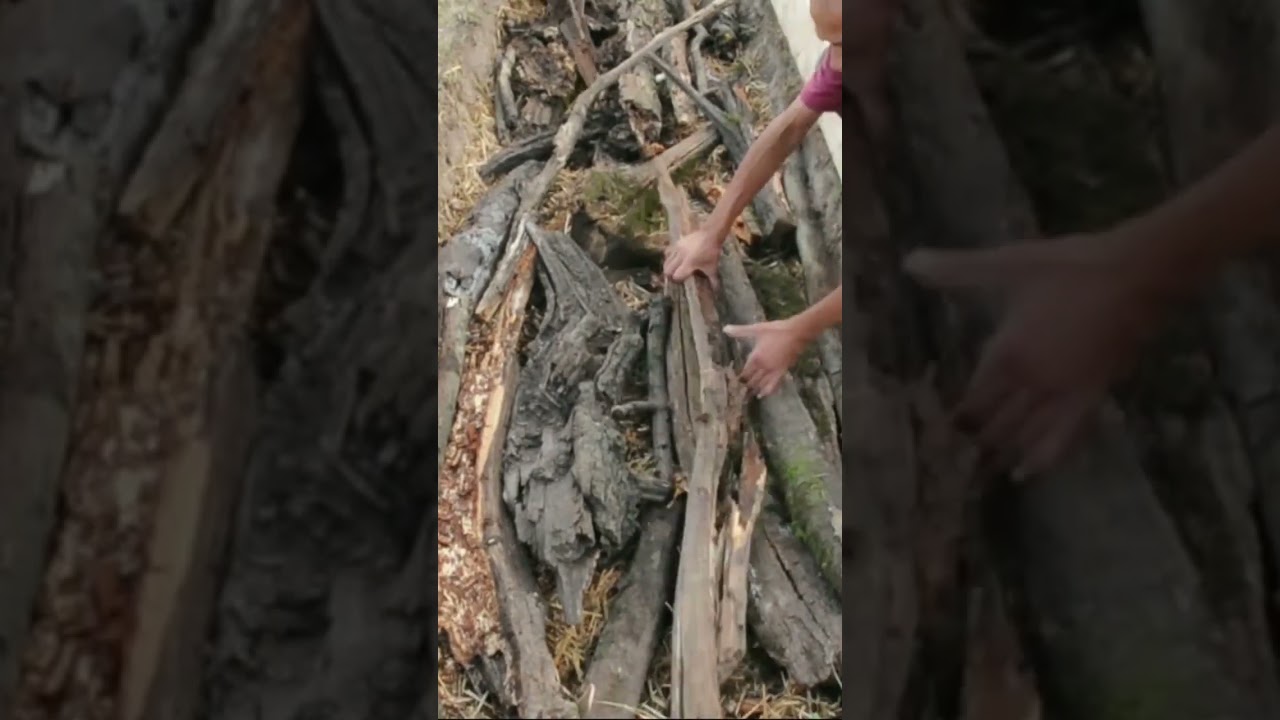 Planche autofertile de 30 m&egrave;tres - permaculture