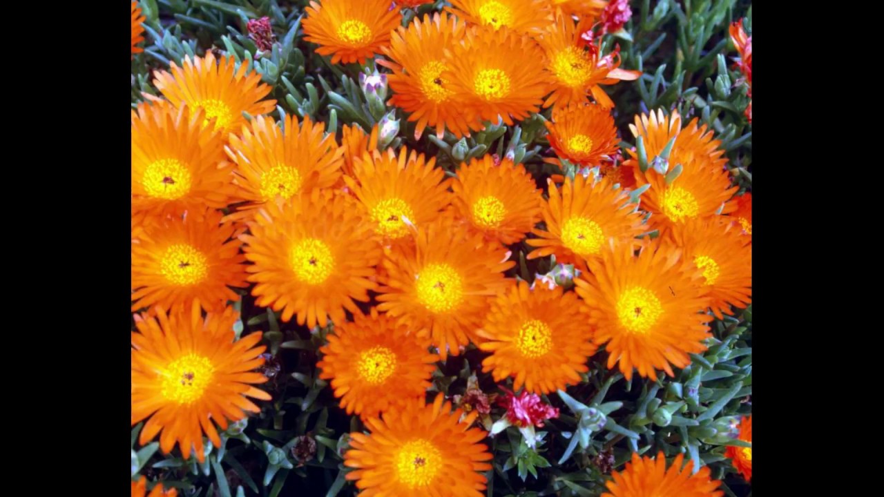 Jour de Repos