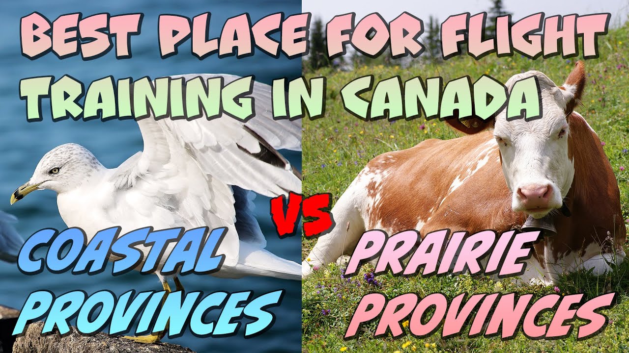 Where Is the BEST Place in Canada for FLIGHT TRAINING!?