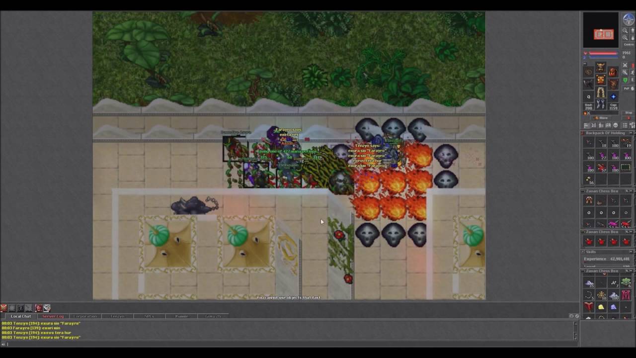 Tibia [EK+ED] Asuras Palace Team Hunt