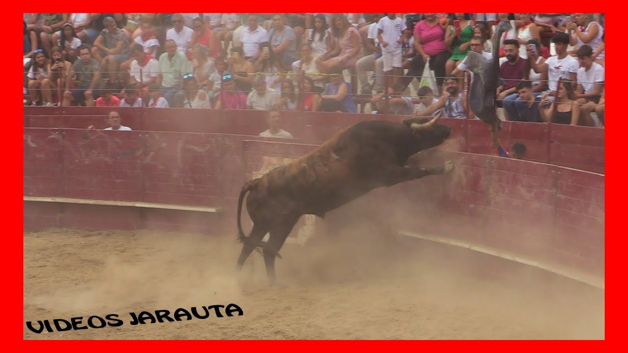 ARGUEDAS ( NAVARRA ) TARDE VACAS PLAZA ( SABADO 13 AGOSTO 2022 ) USTARROZ