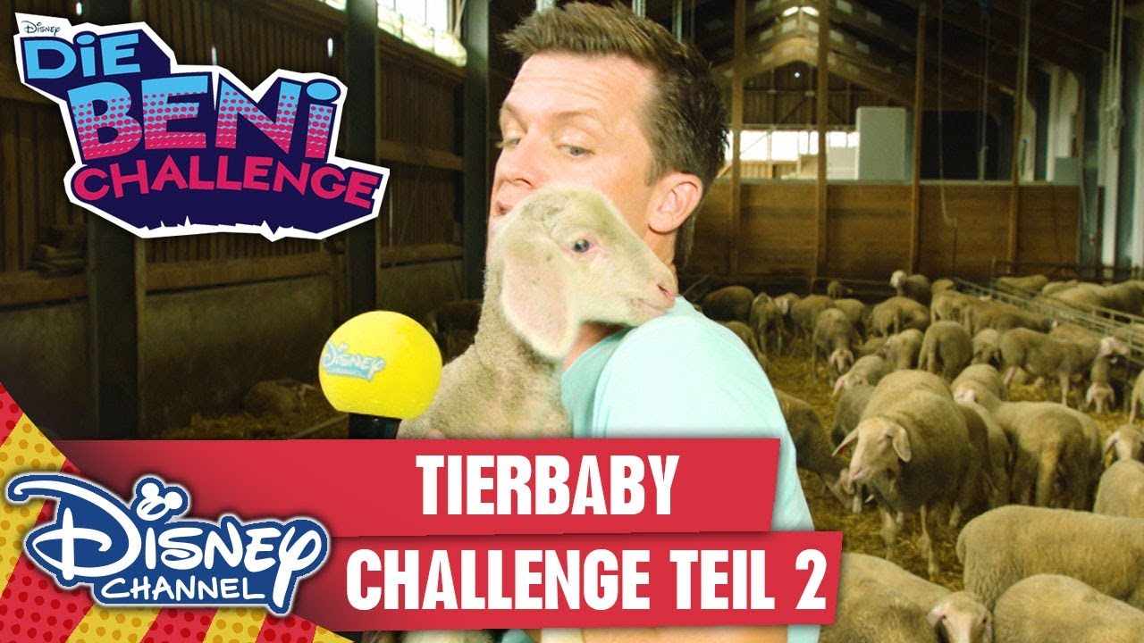 Die Tierbaby-Challenge, Teil 2 | Die Beni Challenge