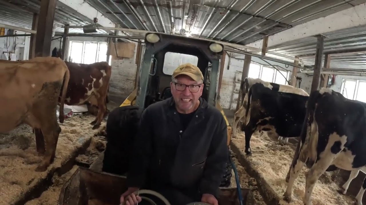 Feisty fresh cows and milking equipment maintenance&hellip;