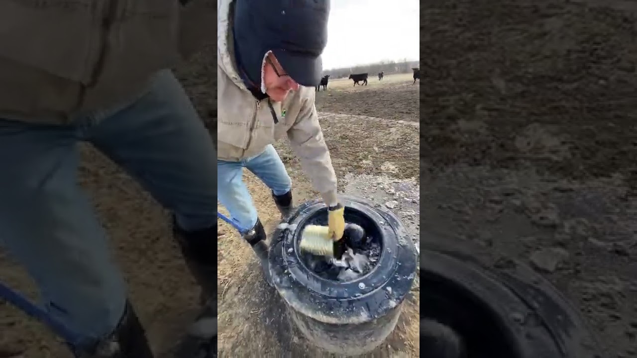 The Freezing, Freeze-Proof Water 