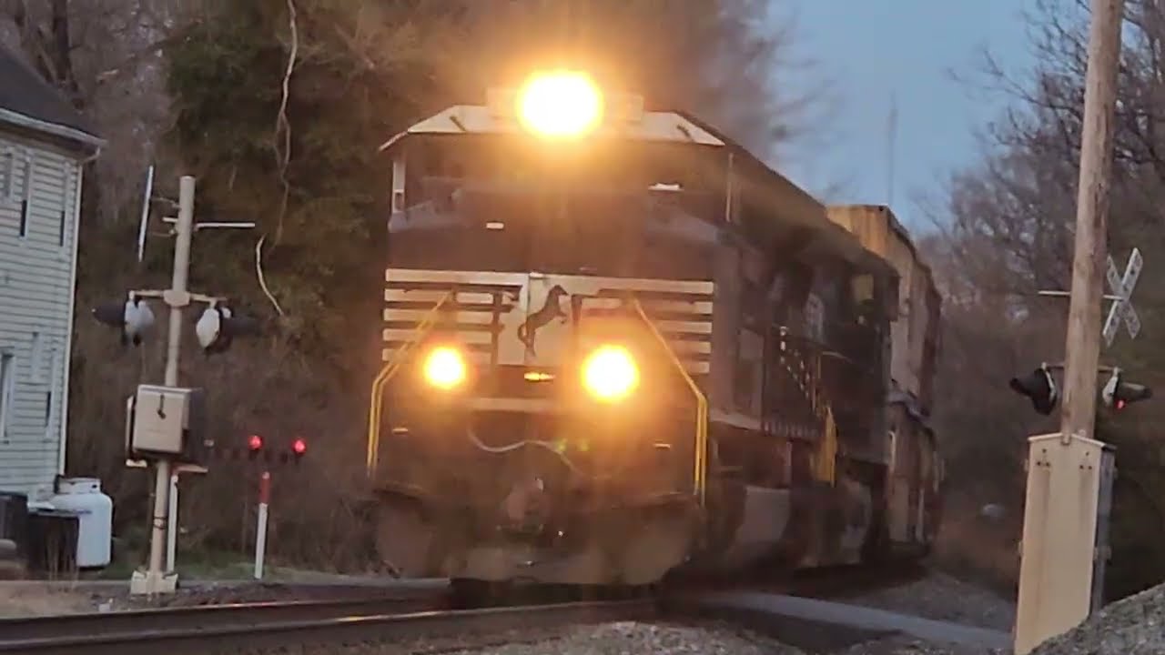 NS 1117 Leads NS 9937 NS 4926 on NS 11Z Passing Through in Boyce VA