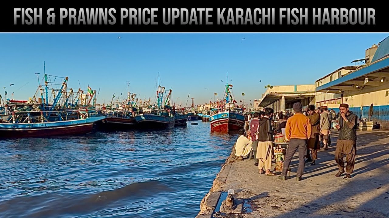 FISH & PRAWNS PRICE UPDATE KARACHI FISH HARBOUR MARKET January 27, 2026