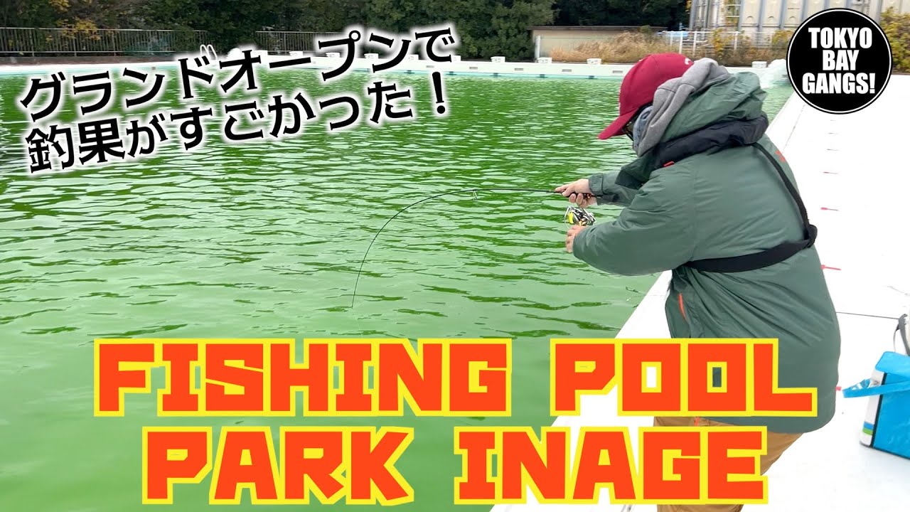 【FISHING POOL PARK INABE】千葉県稲毛に凄いエリアトラウトがグランドオープン！入れ食い間違いなし！！