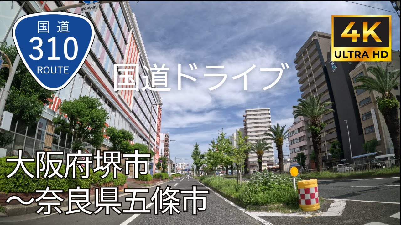 【 超広角4K車載動画】国道310号線を端から端まで