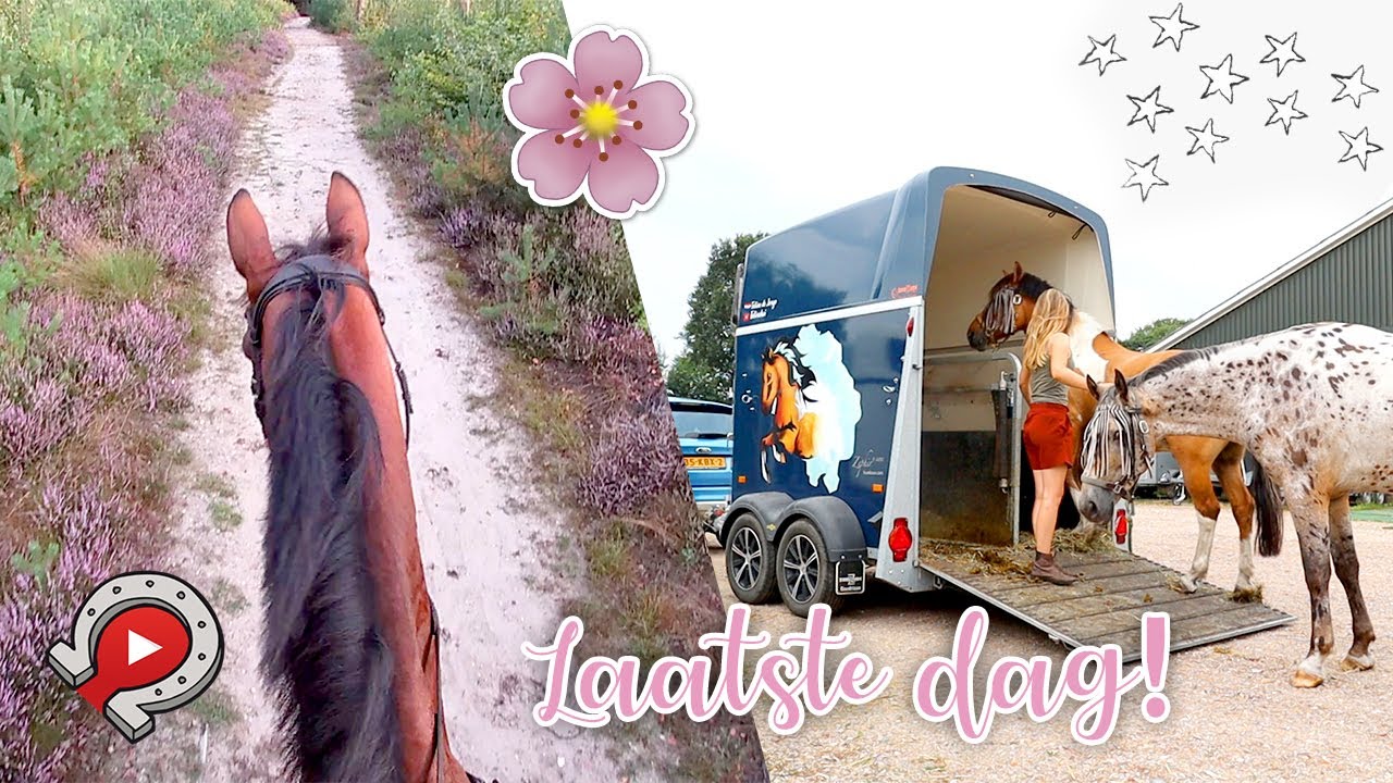 Zingen op buitenrit & weer naar huis! | felinehoi YT week 2020 #6