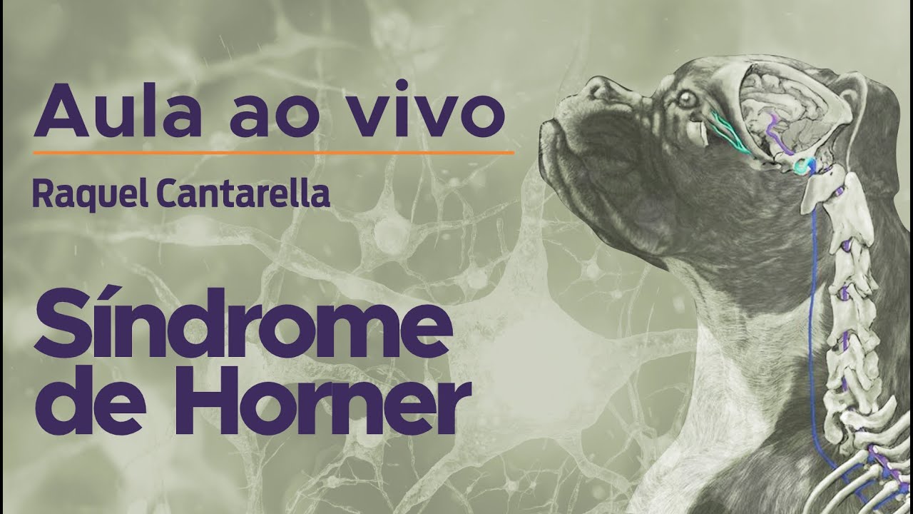 Síndrome de Horner