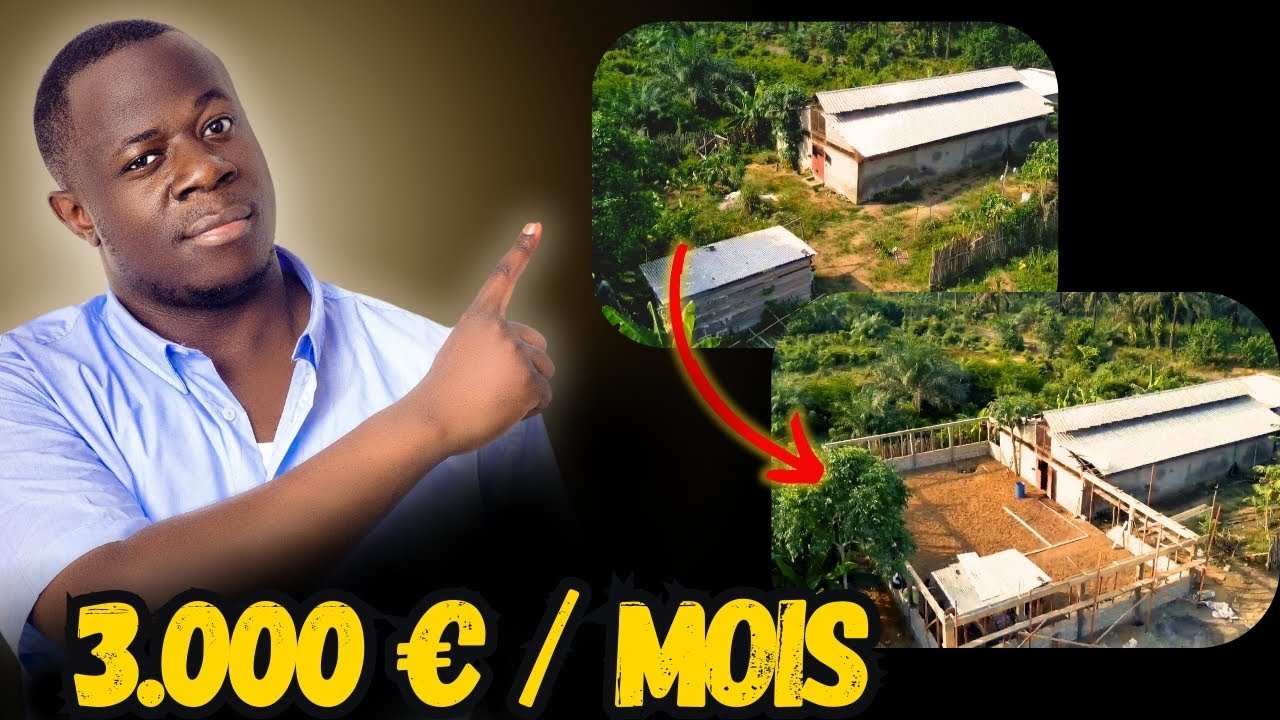 La stratégie SIMPLE pour produire 3.000 porcelets / an et gagner plus qu'un ingénieur en Europe !
