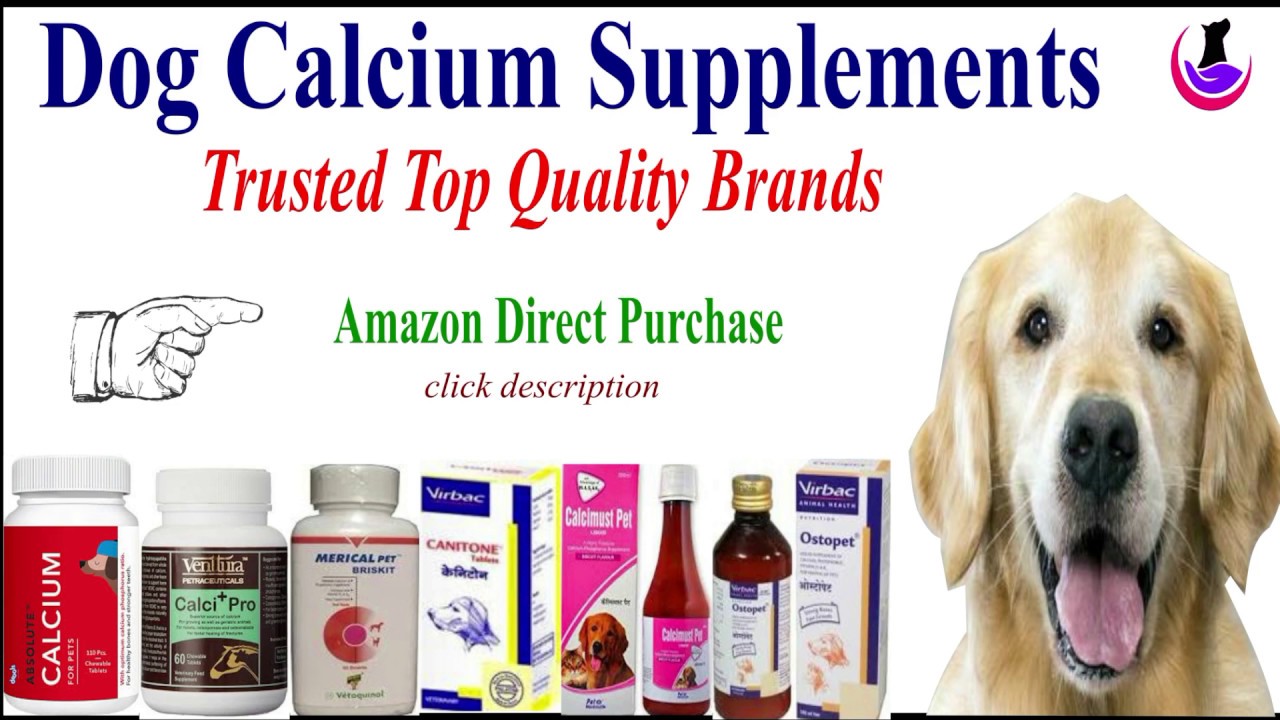 Dog Calcium Supplements II Best Brands II Direct Purchase II dogandvet { Hindi }