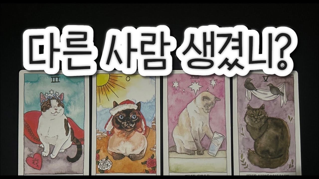 이미 다른 사람이 들어온 흐름일까? 지금 나타난 진짜 신호는?