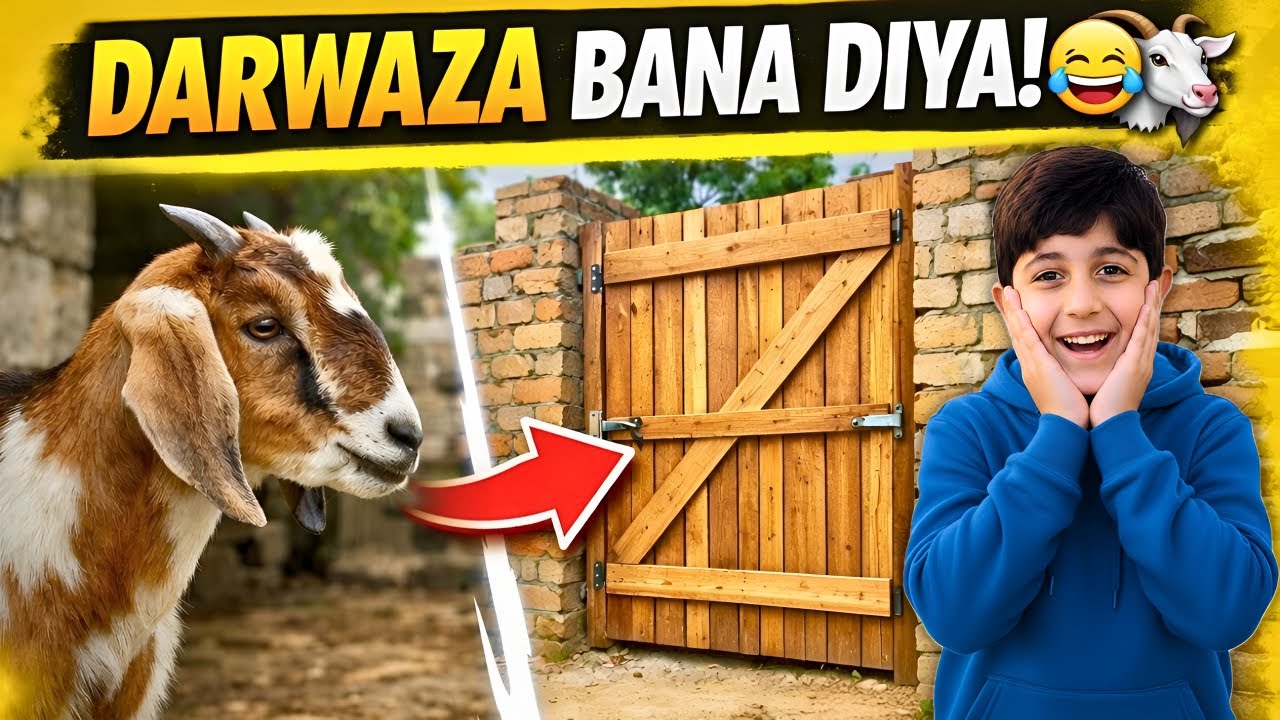 Bakriyon Ke Liye Automatic Darwaza Bana Diya 😂🐐 | Vlog