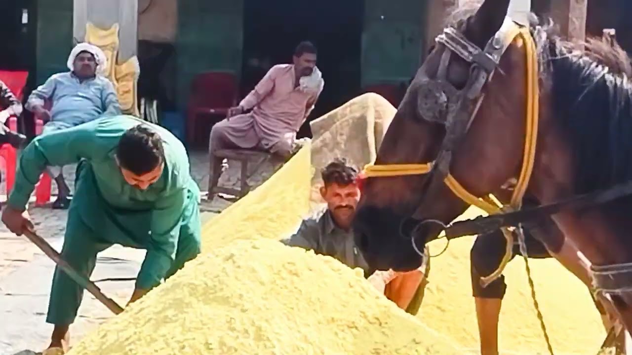 Gala mandi habibabad &hearts;️&hearts;️&hearts;️