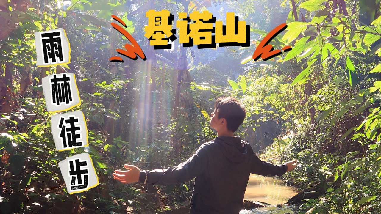 基诺山雨林徒步对于广西仔来说不太新鲜... #西双版纳 #旅行 #vlog