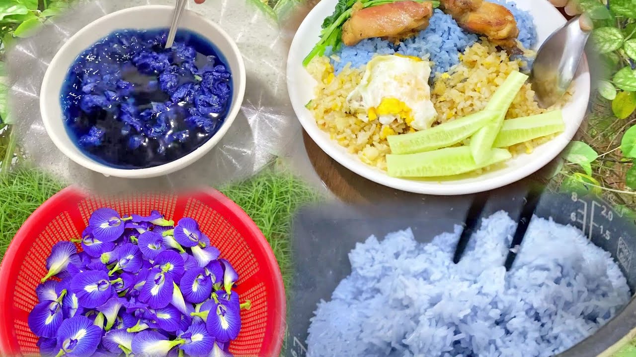 Cơm Hoa Đậu Biếc Ăn Cùng Đùi Gà Chiên Mắm