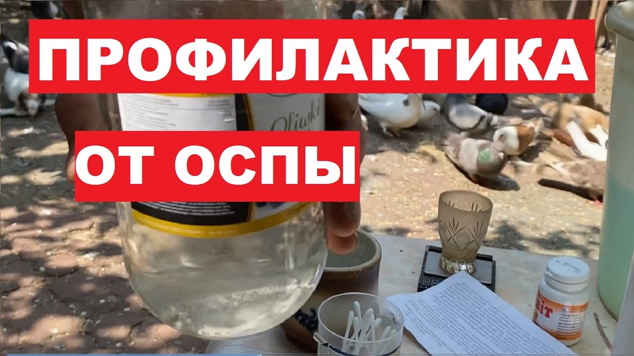 Ждем 