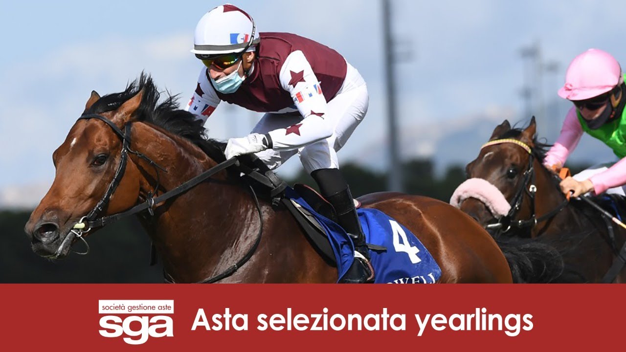 ASTE SGA - Diretta dall'ippodromo La Maura di Milano