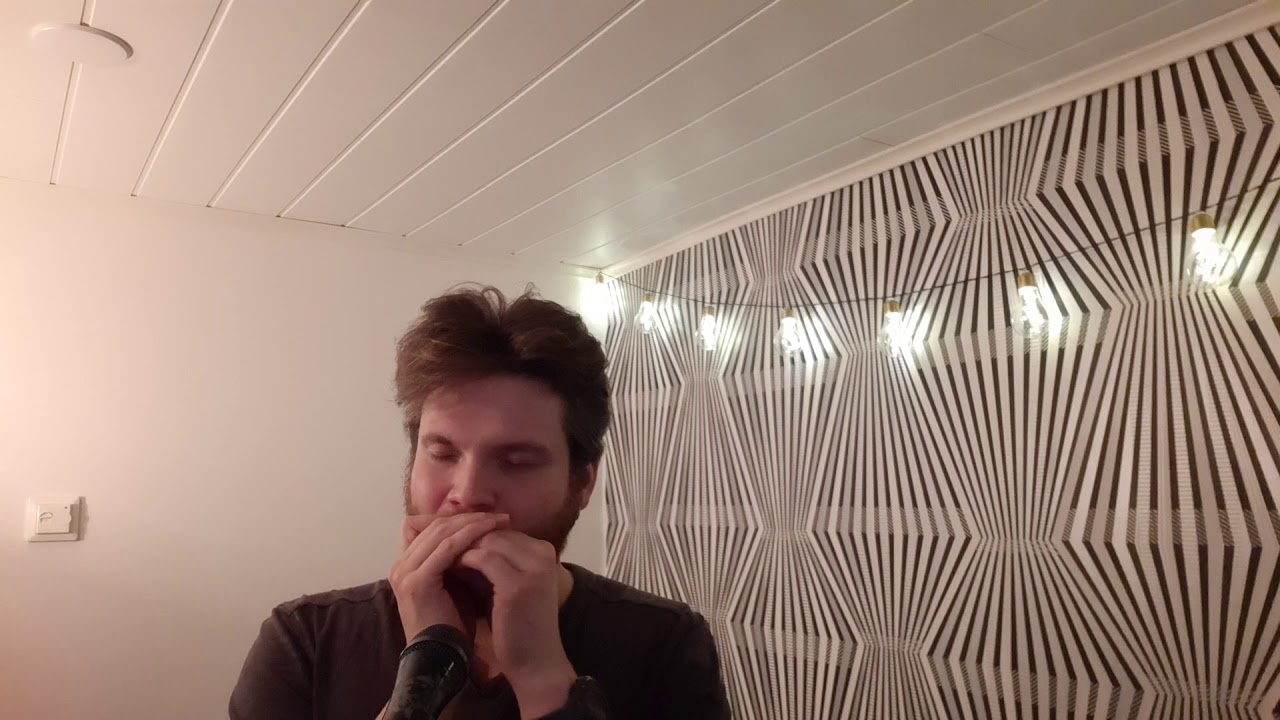 #huuliharppu #avaruus  Walking in the air -  Harmonica cover