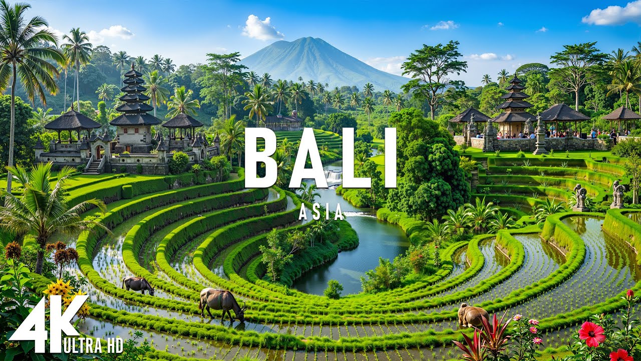 Bali 4K - Emerald Rice Fields, Flowing Rivers & Soft Morning Light with Piano | Relaxing Music