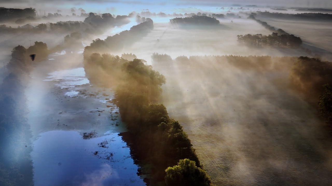 Morgennebel über der Biese
