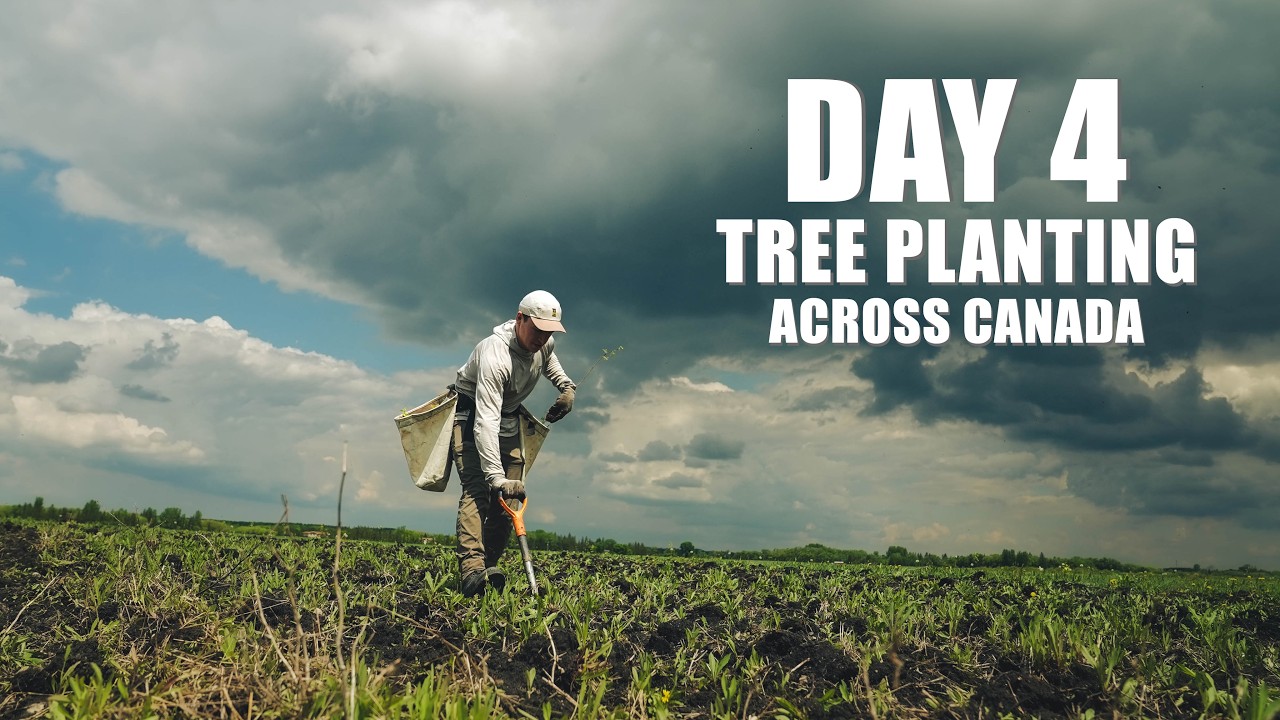 Planting Trees Across Canada | Day 4 : Manitoba