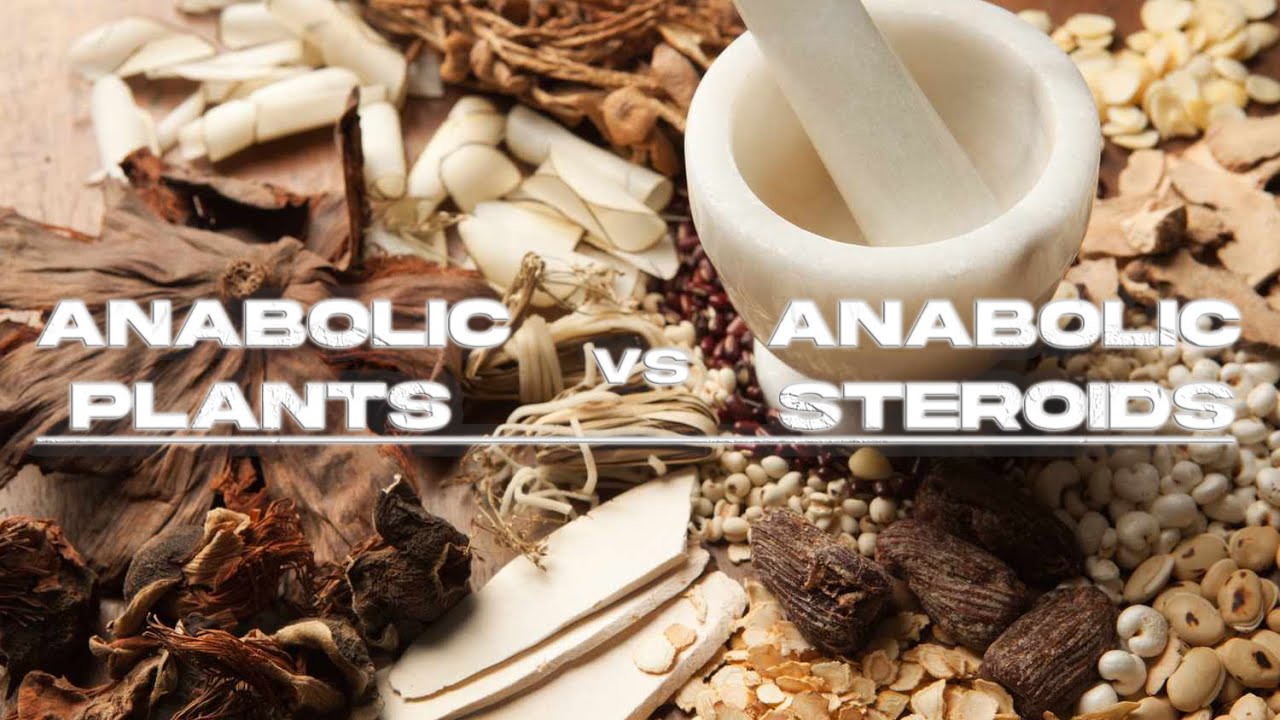 Episode 9 / S01 / Anabolic Plants or Anabolic Steroids?