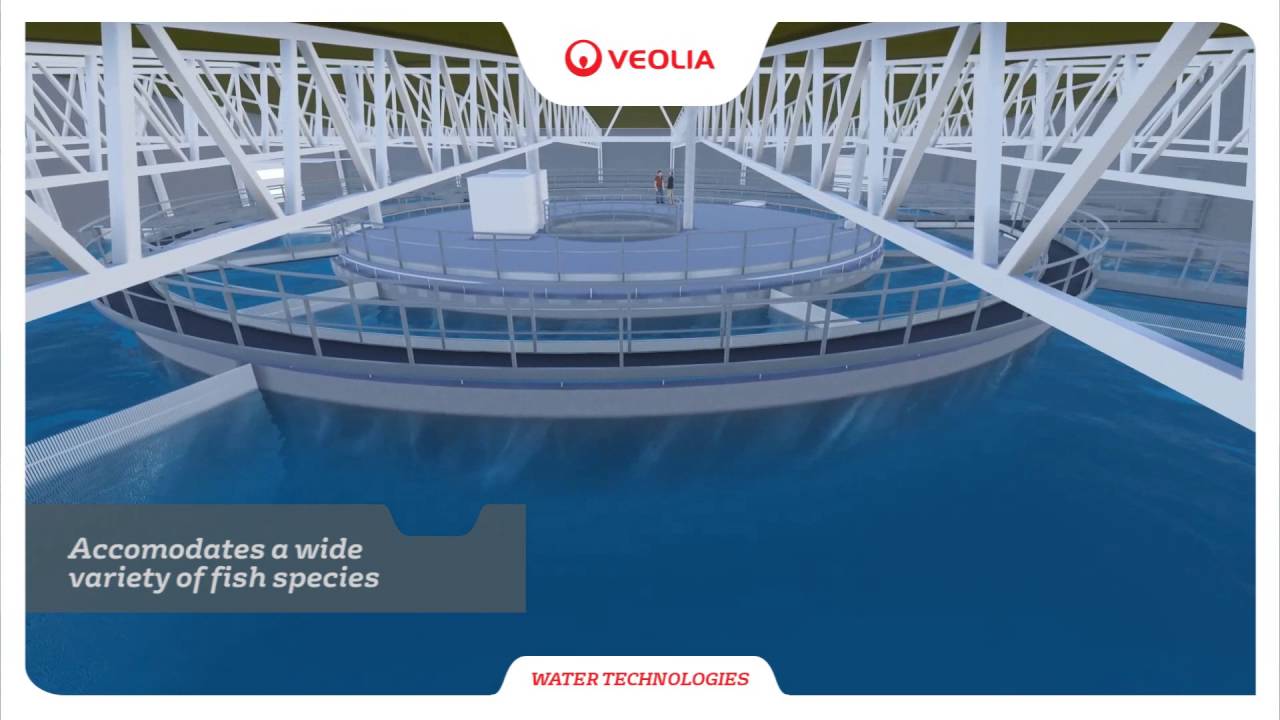 RAS2020 - Revolutionizing Aquaculture