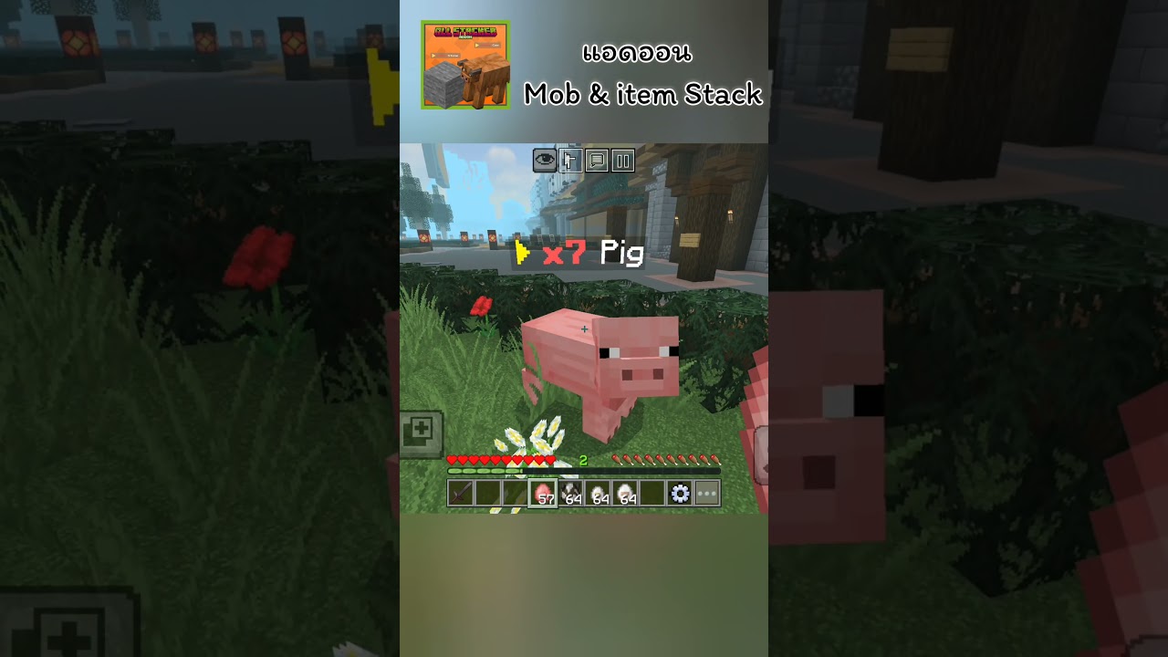แอดออน All Stacker ( mob & item stack ) #stack #mob #items #addon #mods #minecraft