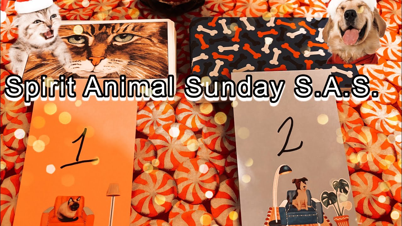 Выберите карту Spirit Animal Sunday S.A.S.